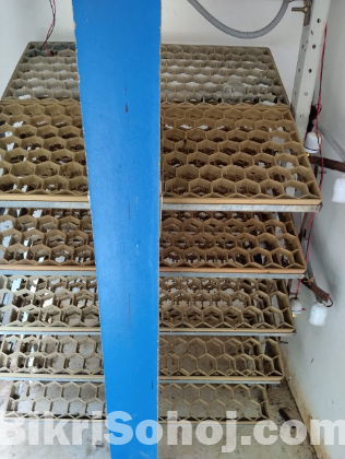 1,000 Auto Incubator matchine